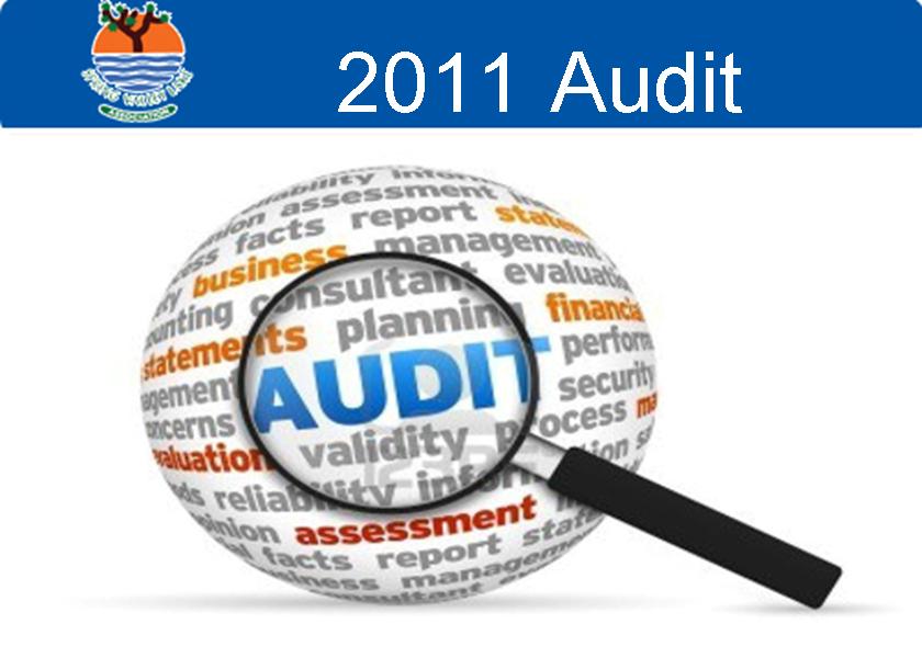 2011 Audit