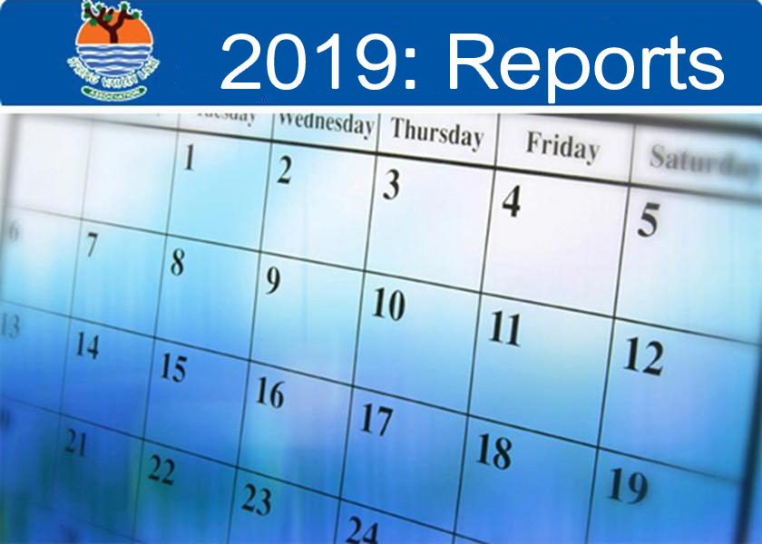 2019: Reports