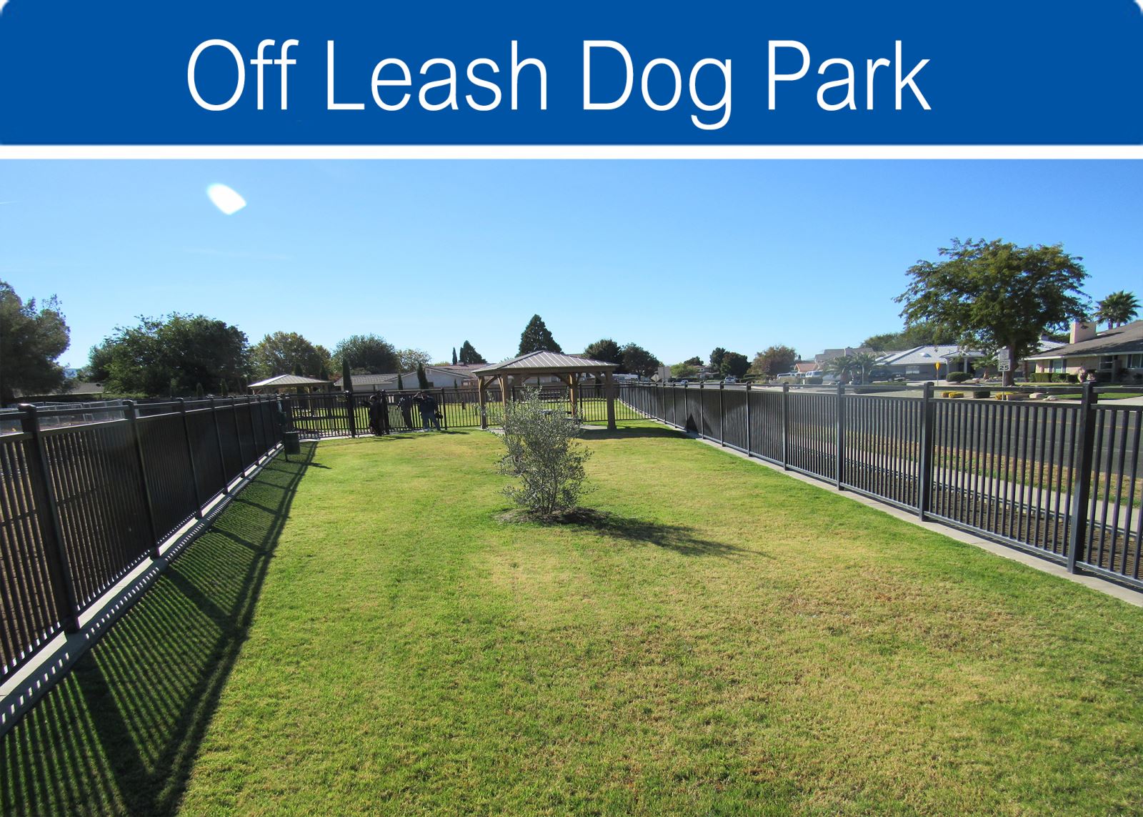 Off leash dog park 