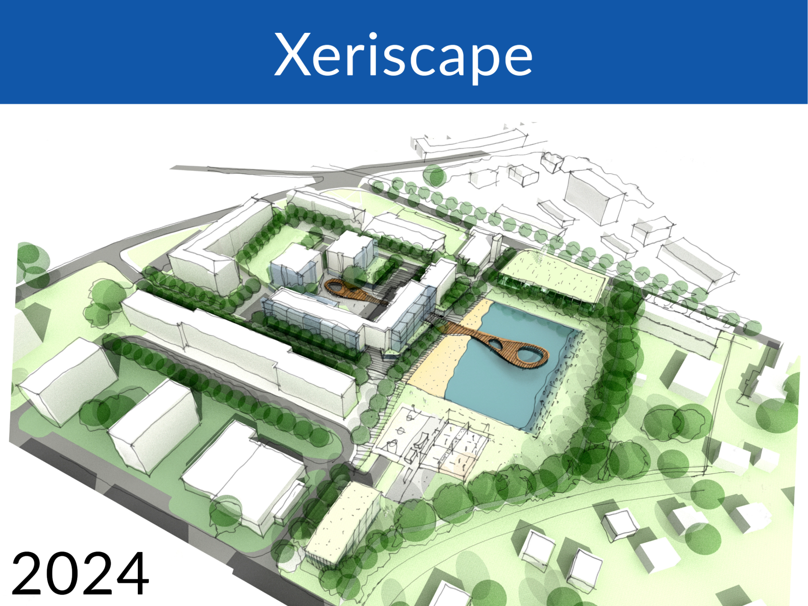 Xeriscape