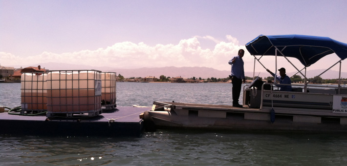 Maintenance/Operations7